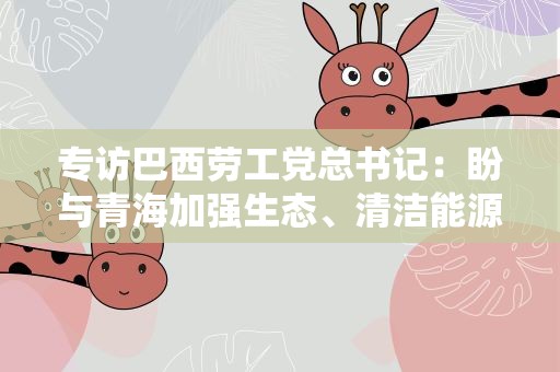 专访巴西劳工党总书记：盼与青海加强生态、清洁能源等领域合作