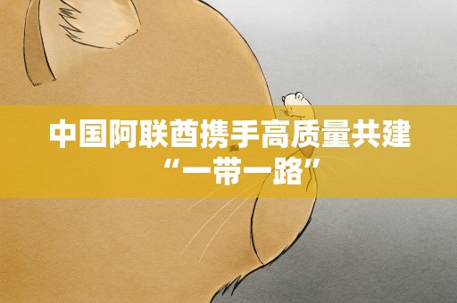 中国阿联酋携手高质量共建“一带一路”