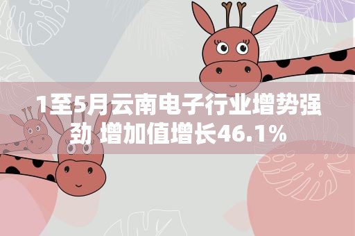 1至5月云南电子行业增势强劲 增加值增长46.1%
