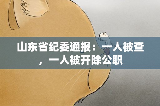 山东省纪委通报：一人被查，一人被开除公职