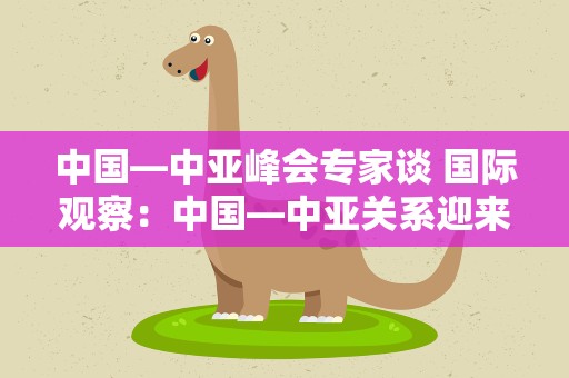 中国—中亚峰会专家谈 国际观察：中国—中亚关系迎来新时代