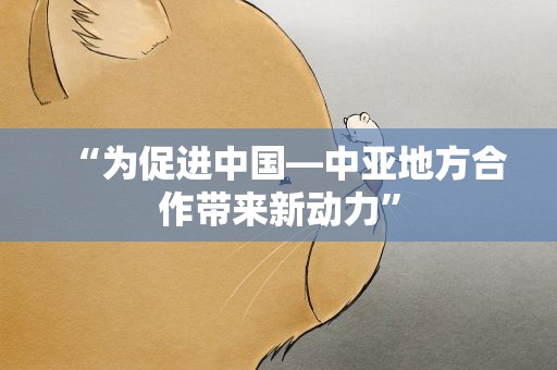 “为促进中国—中亚地方合作带来新动力”