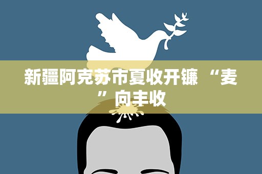 新疆阿克苏市夏收开镰 “麦”向丰收