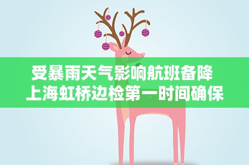 受暴雨天气影响航班备降 上海虹桥边检第一时间确保旅客快速通关