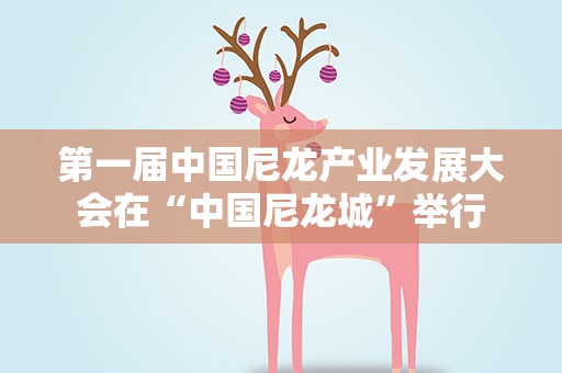 第一届中国尼龙产业发展大会在“中国尼龙城”举行