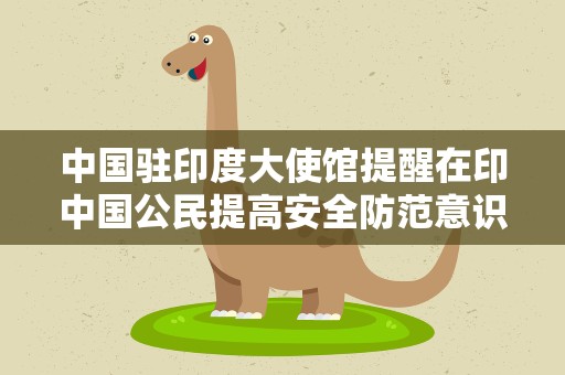 中国驻印度大使馆提醒在印中国公民提高安全防范意识