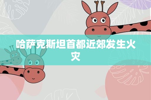 哈萨克斯坦首都近郊发生火灾