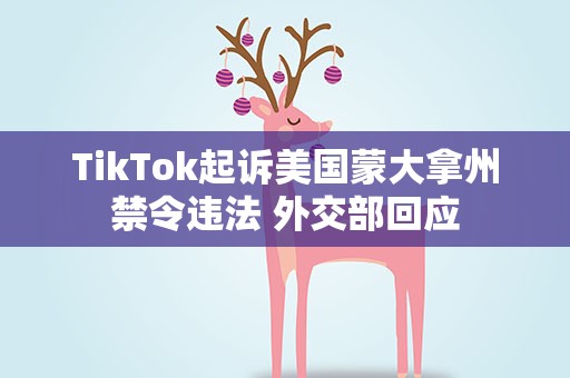 TikTok起诉美国蒙大拿州禁令违法 外交部回应