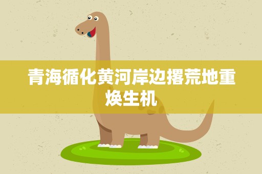 青海循化黄河岸边撂荒地重焕生机