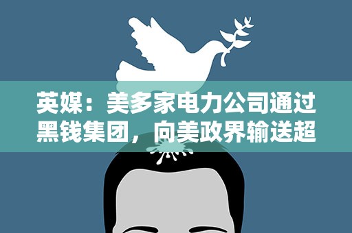 英媒：美多家电力公司通过黑钱集团，向美政界输送超2亿美元
