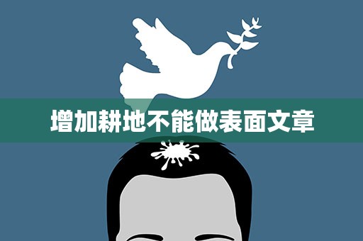 增加耕地不能做表面文章