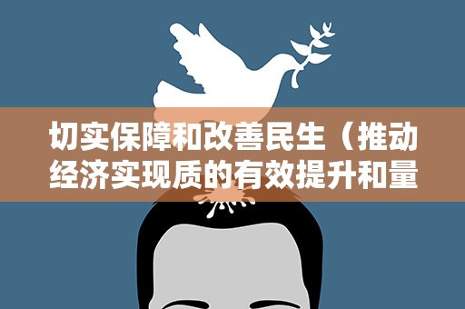 切实保障和改善民生（推动经济实现质的有效提升和量的合理增长）