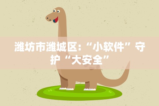 潍坊市潍城区:“小软件”守护“大安全”