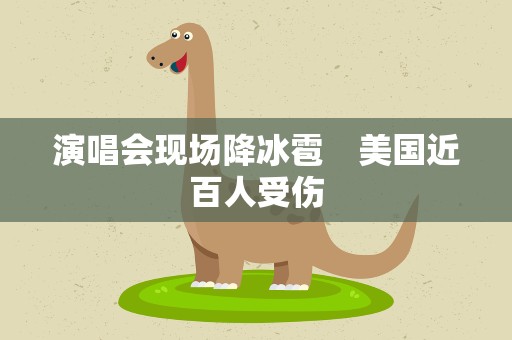 演唱会现场降冰雹　美国近百人受伤