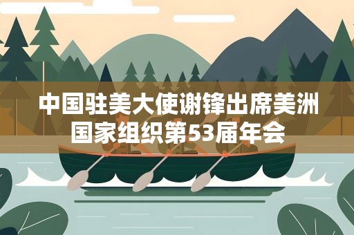 中国驻美大使谢锋出席美洲国家组织第53届年会