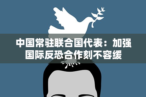 中国常驻联合国代表：加强国际反恐合作刻不容缓