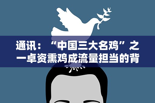 通讯：“中国三大名鸡”之一卓资熏鸡成流量担当的背后
