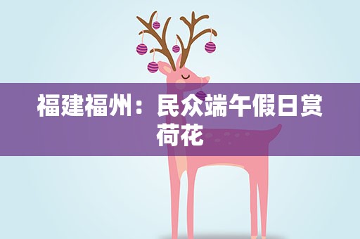 福建福州：民众端午假日赏荷花