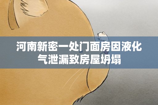 河南新密一处门面房因液化气泄漏致房屋坍塌
