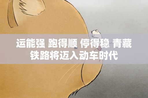 运能强 跑得顺 停得稳 青藏铁路将迈入动车时代