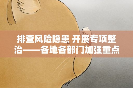 排查风险隐患 开展专项整治——各地各部门加强重点行业重点领域安全监管