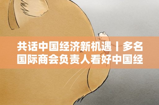 共话中国经济新机遇丨多名国际商会负责人看好中国经济前景