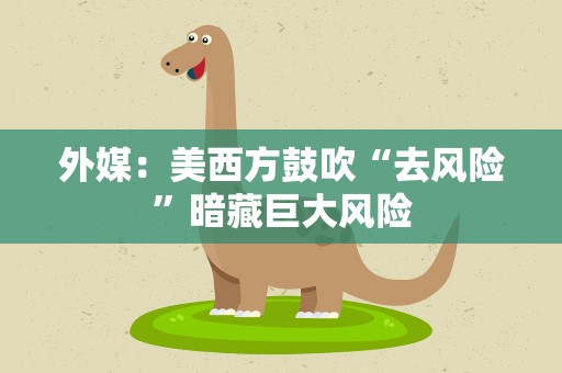 外媒：美西方鼓吹“去风险”暗藏巨大风险