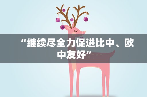 “继续尽全力促进比中、欧中友好”