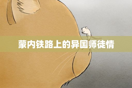 蒙内铁路上的异国师徒情