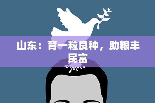 山东：育一粒良种，助粮丰民富
