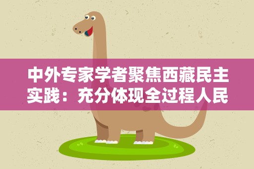 中外专家学者聚焦西藏民主实践：充分体现全过程人民民主