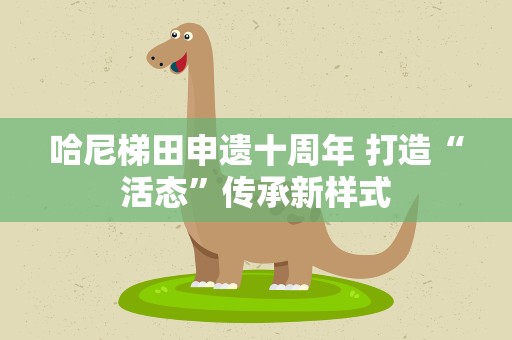 哈尼梯田申遗十周年 打造“活态”传承新样式