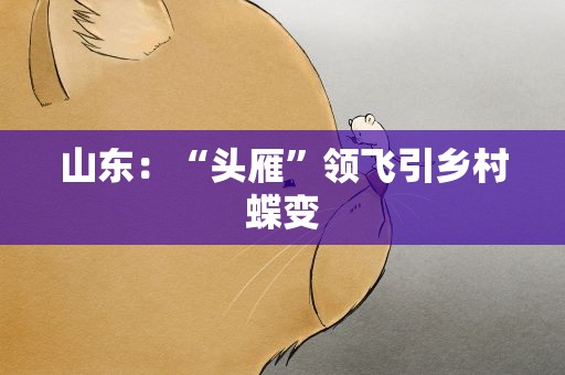 山东：“头雁”领飞引乡村蝶变