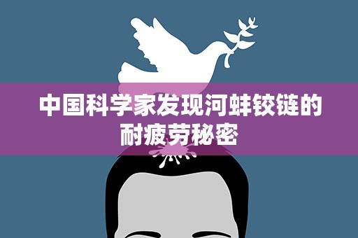 中国科学家发现河蚌铰链的耐疲劳秘密