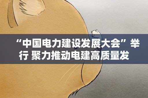 “中国电力建设发展大会”举行 聚力推动电建高质量发展