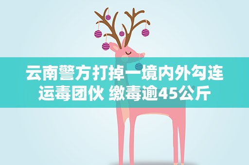 云南警方打掉一境内外勾连运毒团伙 缴毒逾45公斤