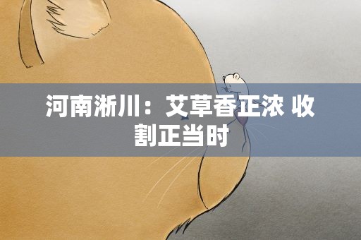 河南淅川：艾草香正浓 收割正当时