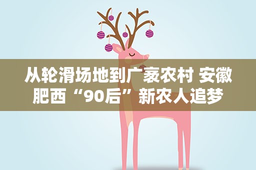 从轮滑场地到广袤农村 安徽肥西“90后”新农人追梦田野