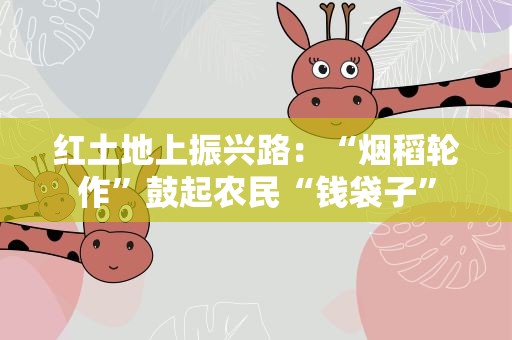 红土地上振兴路：“烟稻轮作”鼓起农民“钱袋子”