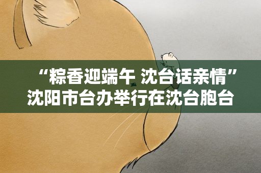 “粽香迎端午 沈台话亲情”沈阳市台办举行在沈台胞台生交流活动
