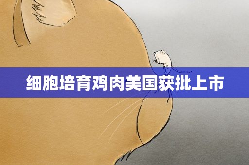 细胞培育鸡肉美国获批上市