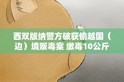 西双版纳警方破获偷越国（边）境贩毒案 缴毒10公斤