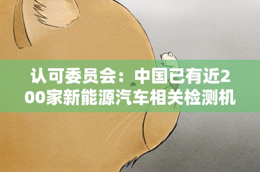 认可委员会：中国已有近200家新能源汽车相关检测机构获认可