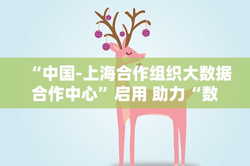 “中国-上海合作组织大数据合作中心”启用 助力“数字丝绸之路”建设