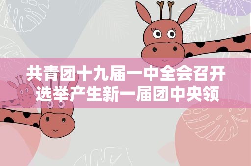 共青团十九届一中全会召开 选举产生新一届团中央领导机构 阿东当选为书记处第一书记