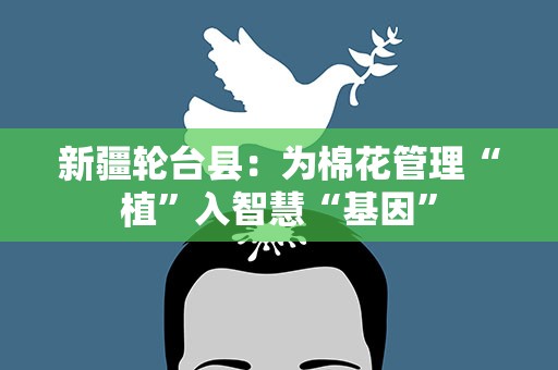 新疆轮台县：为棉花管理“植”入智慧“基因”