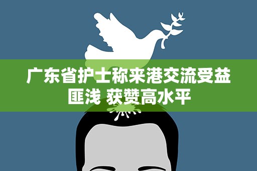 广东省护士称来港交流受益匪浅 获赞高水平