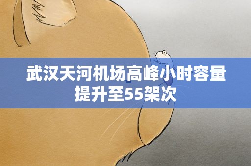 武汉天河机场高峰小时容量提升至55架次