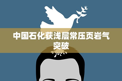 中国石化获浅层常压页岩气突破