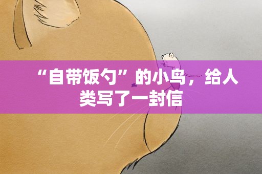 “自带饭勺”的小鸟，给人类写了一封信